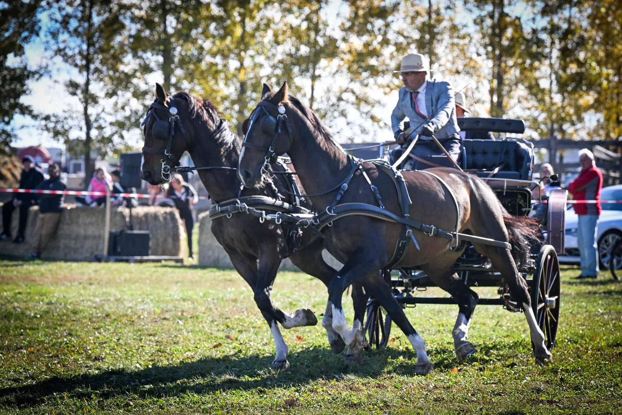 Fogathajtó falunap északkeleten: Ilyen volt a Besenyőtelki Bajnokok Napja