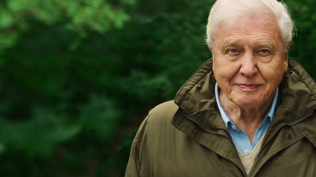 David Attenborough megmutatja, miért érdemes tenni a bolygónkért