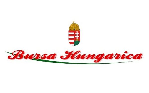 Bursa Hungarica Ösztöndíjpályázat – A jelentkezés módja és feltételei